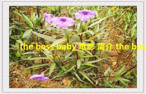 the boss baby 电影 简介 the boss baby第一季